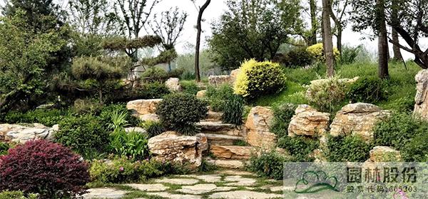 彩运网(中国游)官方网站