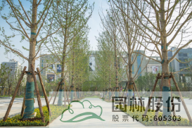 彩运网(中国游)官方网站