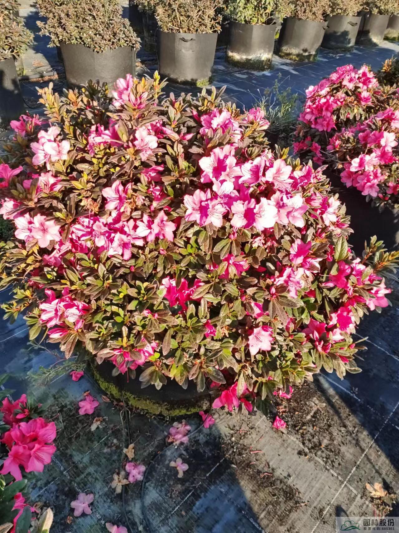 彩运网(中国游)官方网站