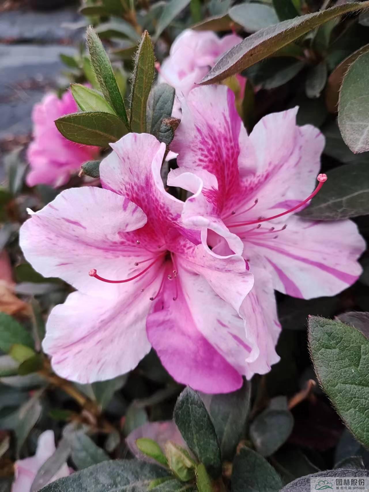 彩运网(中国游)官方网站