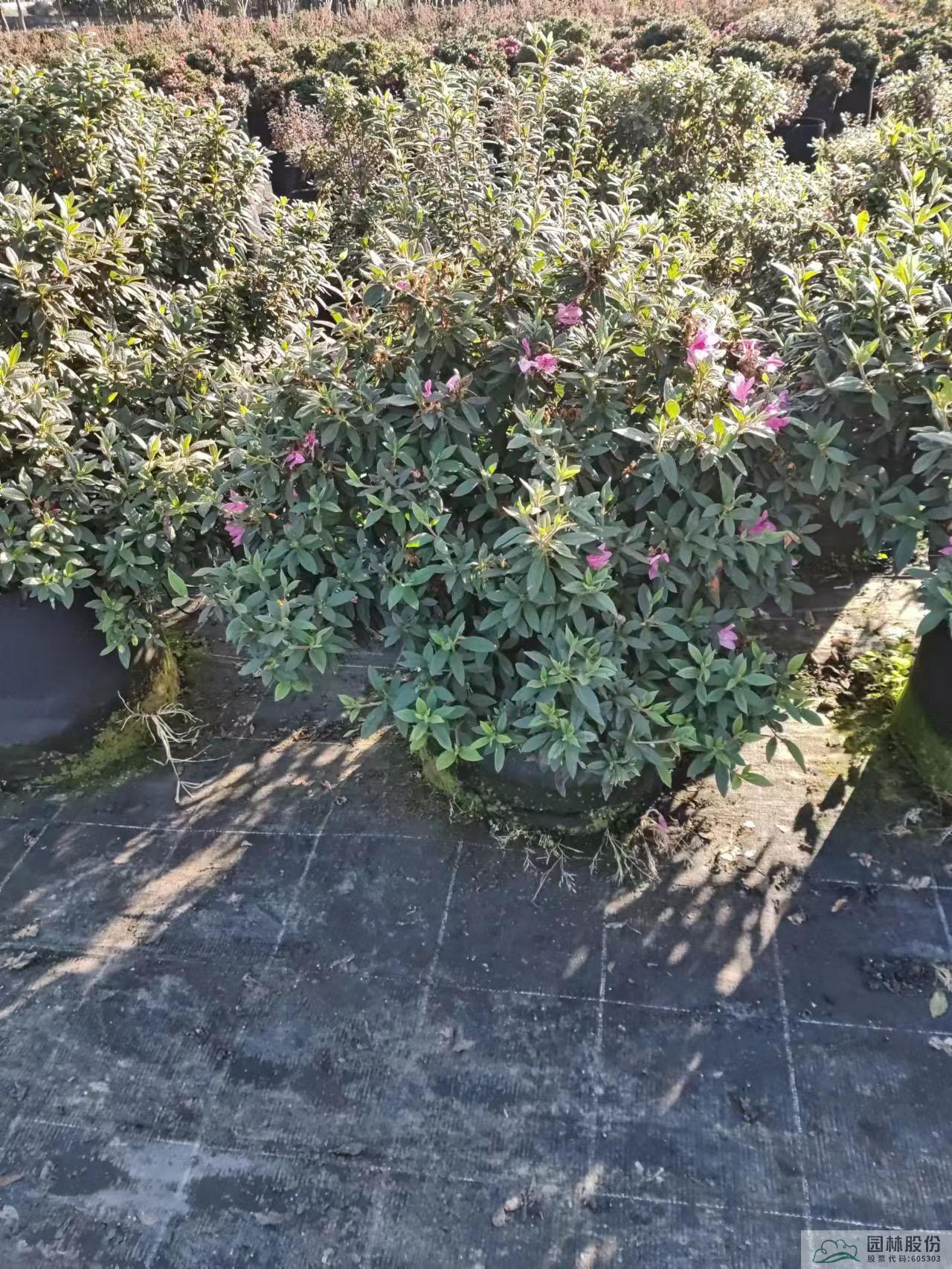 彩运网(中国游)官方网站