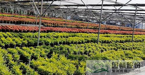 彩运网(中国游)官方网站