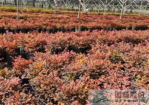 彩运网(中国游)官方网站