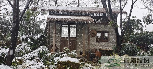 彩运网(中国游)官方网站