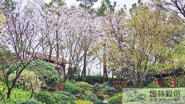 彩运网(中国游)官方网站