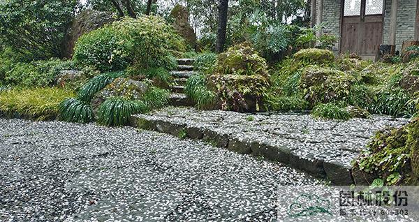 彩运网(中国游)官方网站