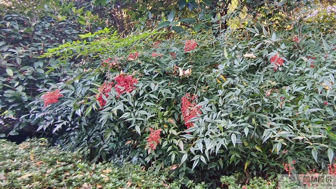 彩运网(中国游)官方网站