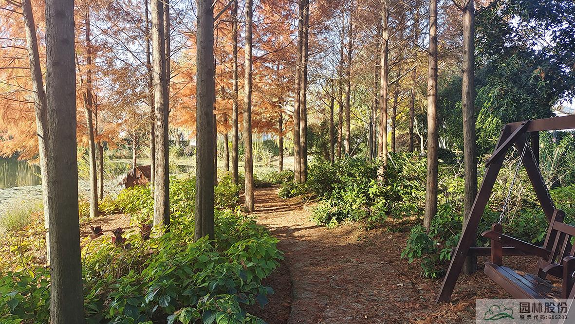 彩运网(中国游)官方网站