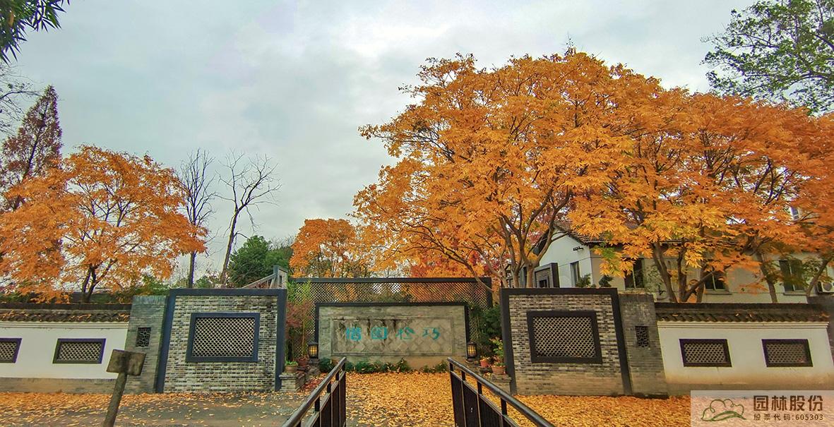 彩运网(中国游)官方网站