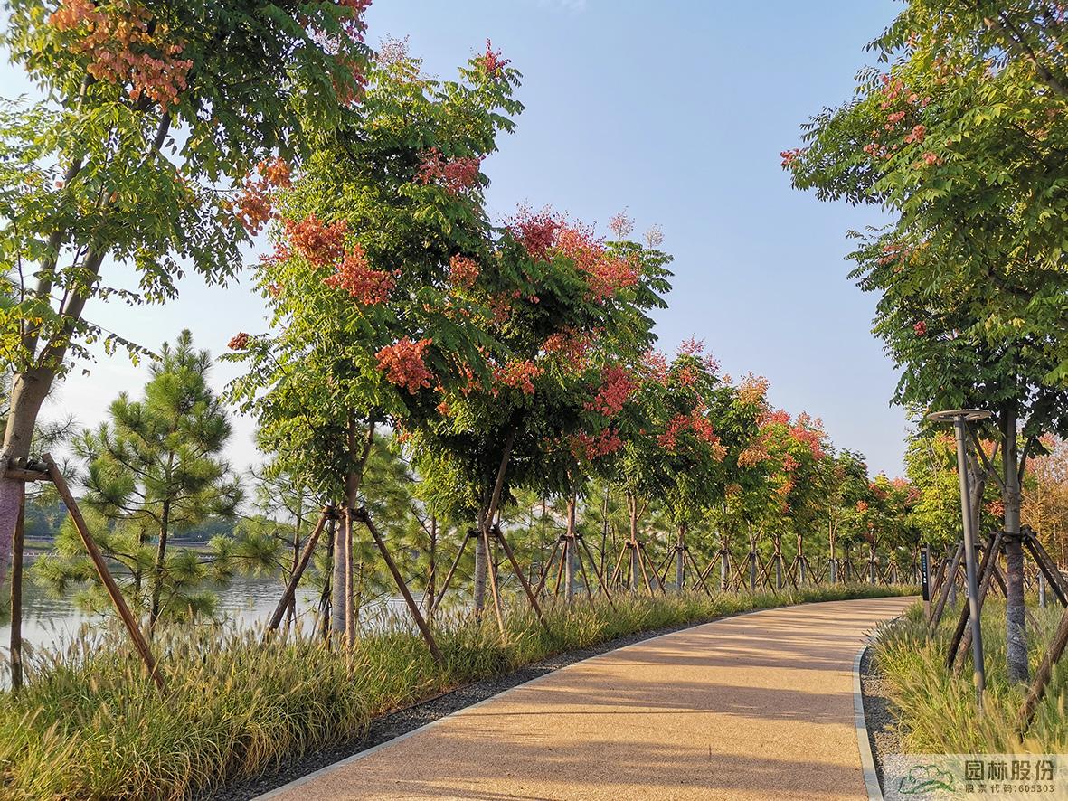 彩运网(中国游)官方网站