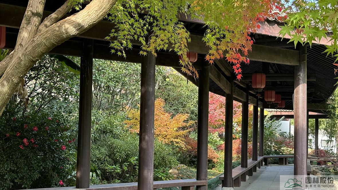 彩运网(中国游)官方网站