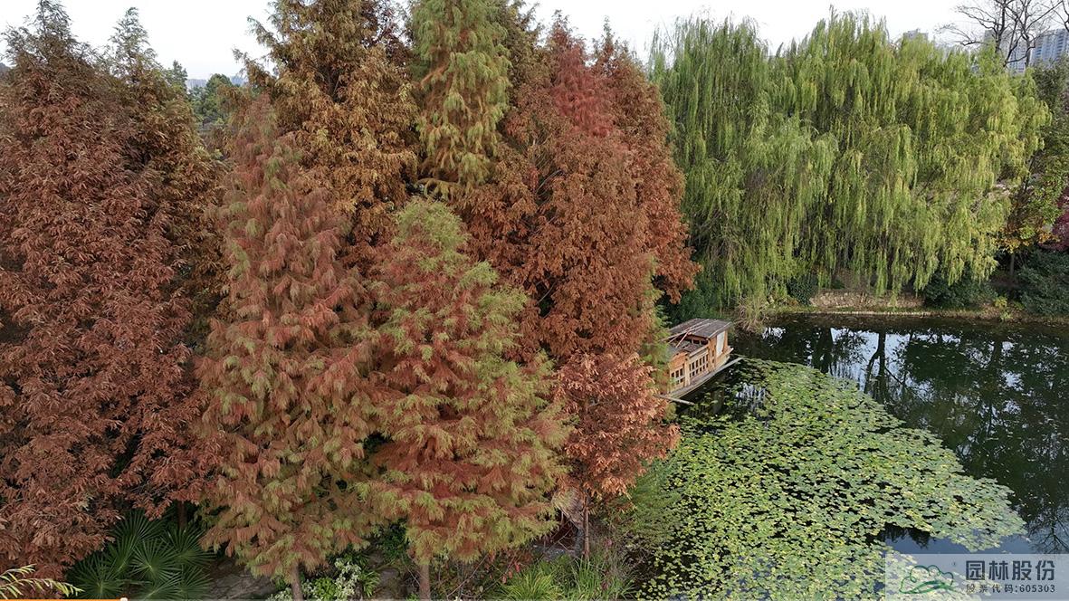 彩运网(中国游)官方网站