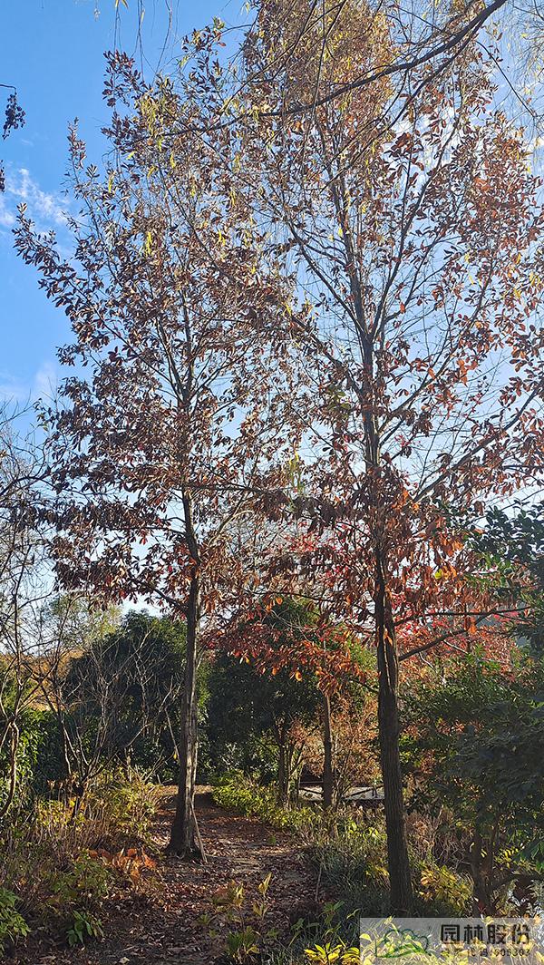 彩运网(中国游)官方网站