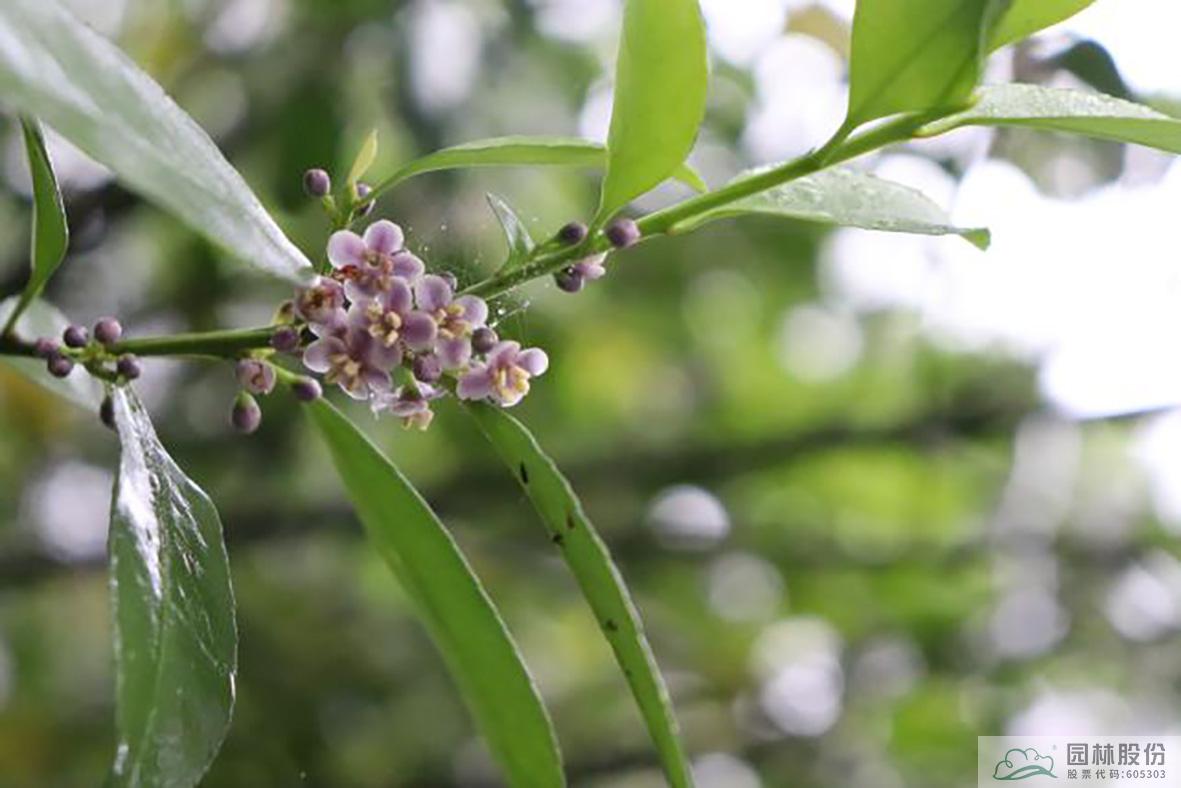 彩运网(中国游)官方网站