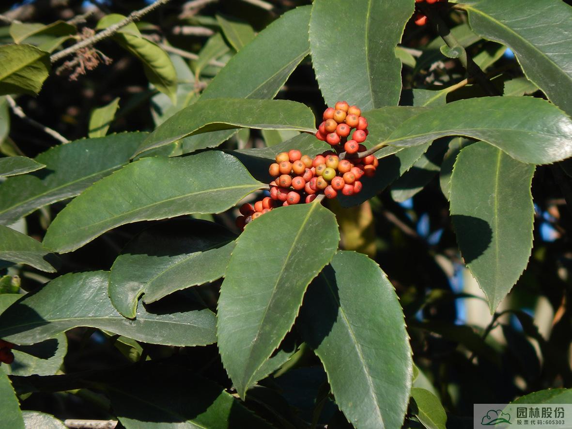 彩运网(中国游)官方网站