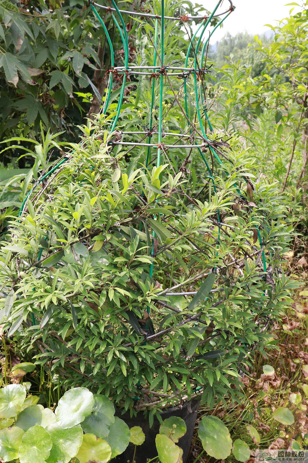 彩运网(中国游)官方网站