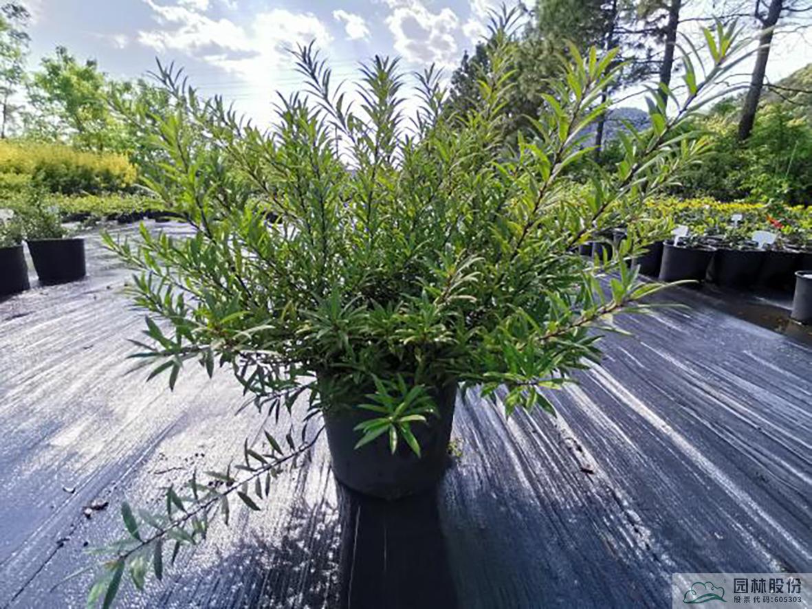 彩运网(中国游)官方网站