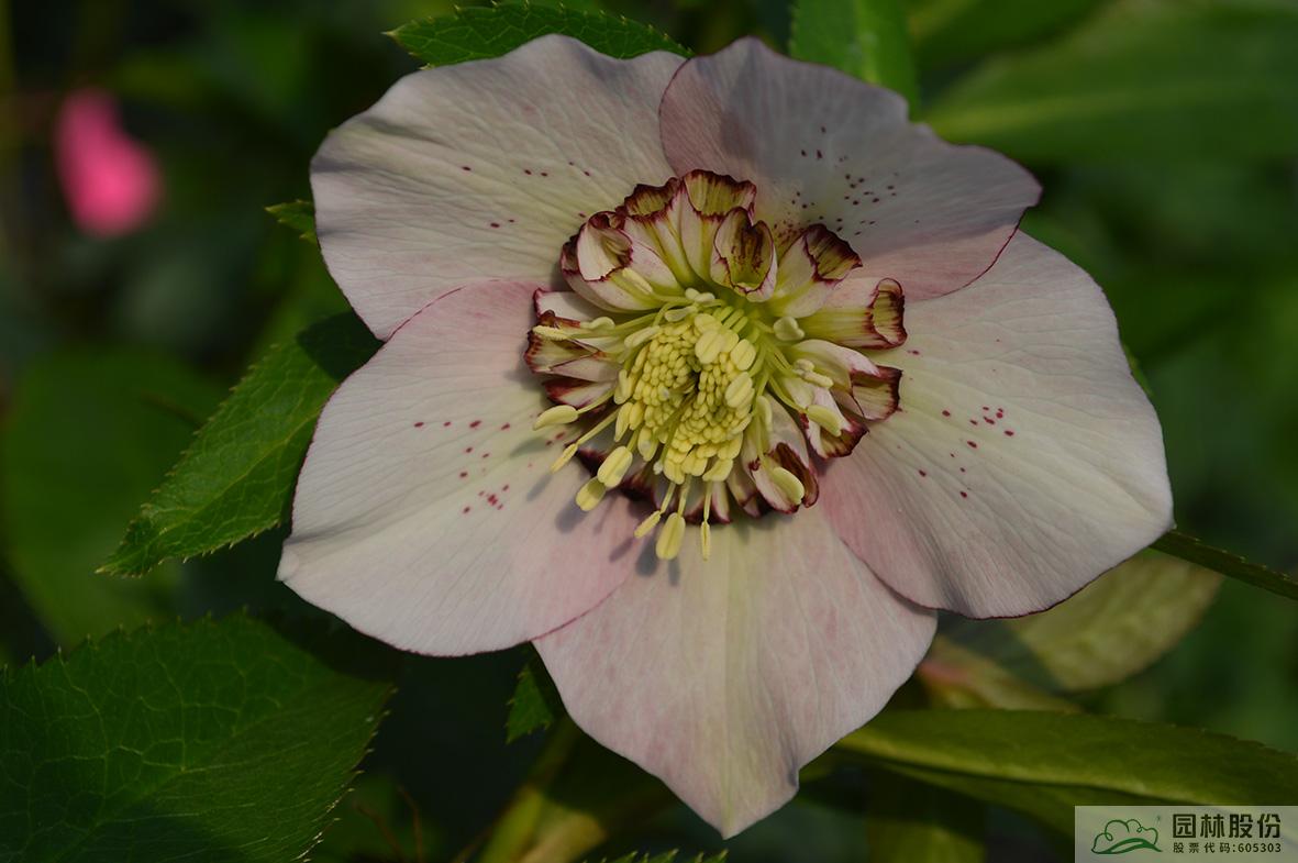 彩运网(中国游)官方网站