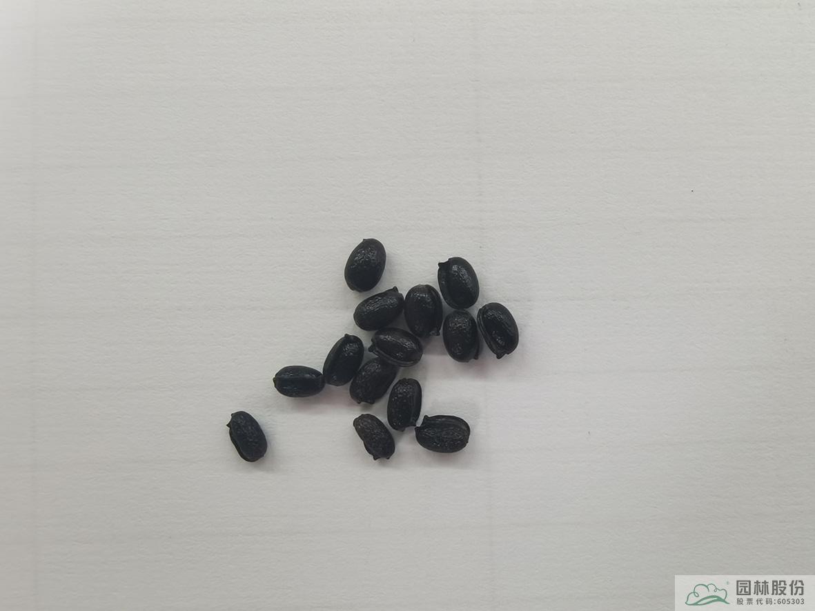 彩运网(中国游)官方网站