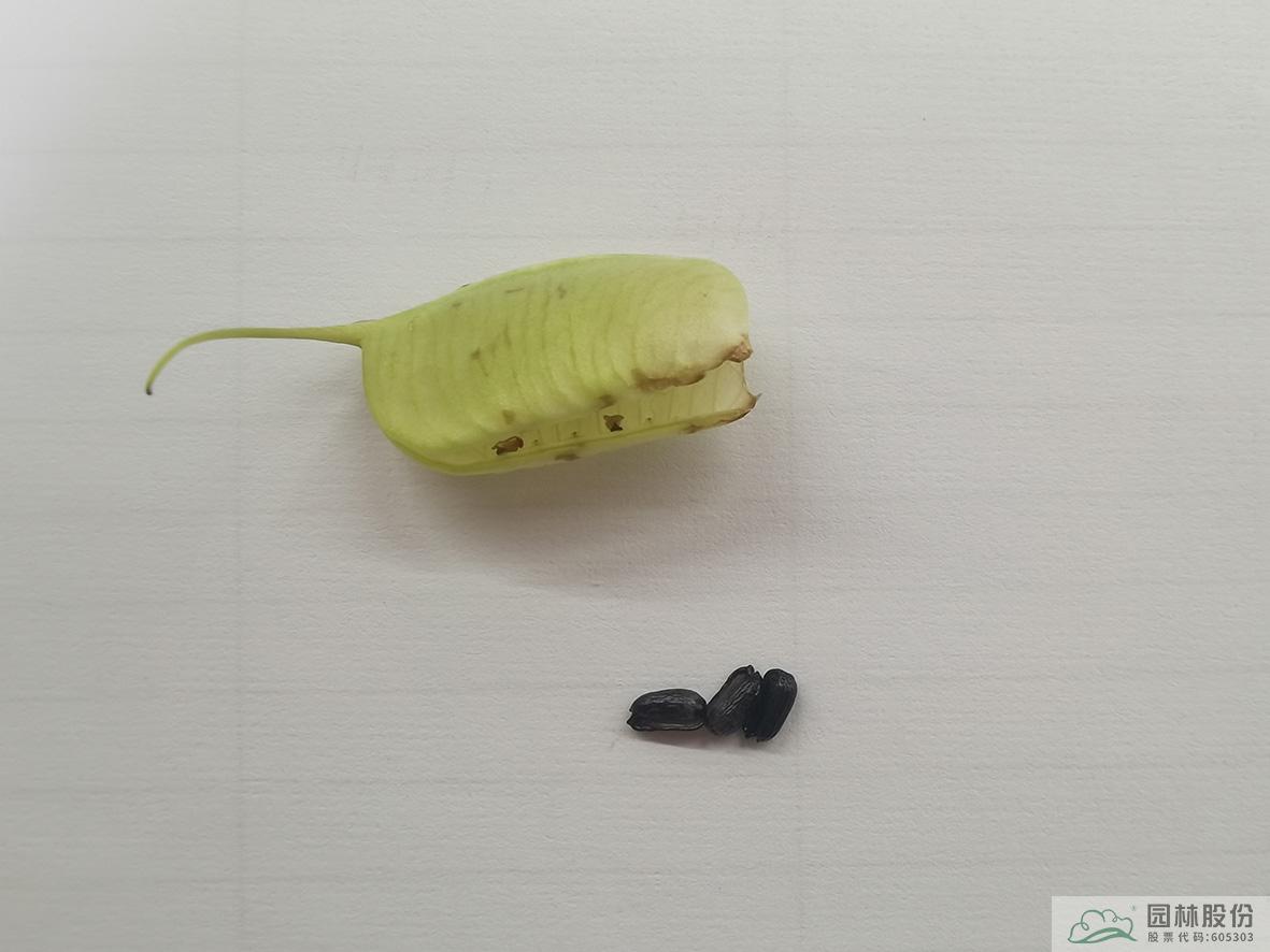 彩运网(中国游)官方网站