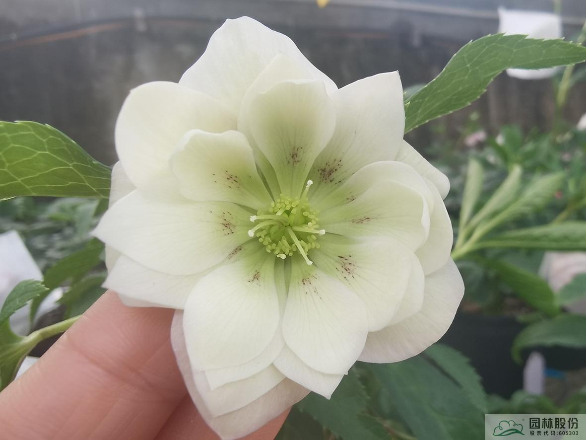 彩运网(中国游)官方网站