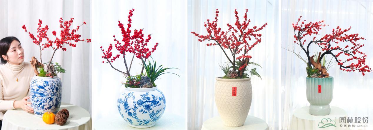 彩运网(中国游)官方网站