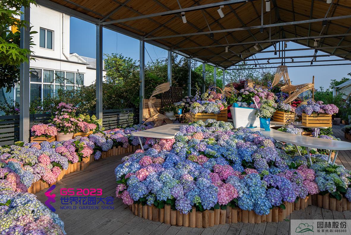 彩运网(中国游)官方网站