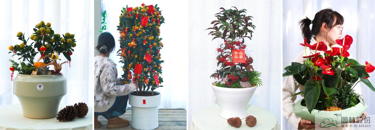 彩运网(中国游)官方网站