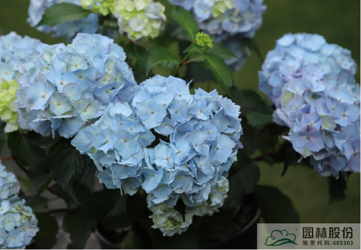 彩运网(中国游)官方网站