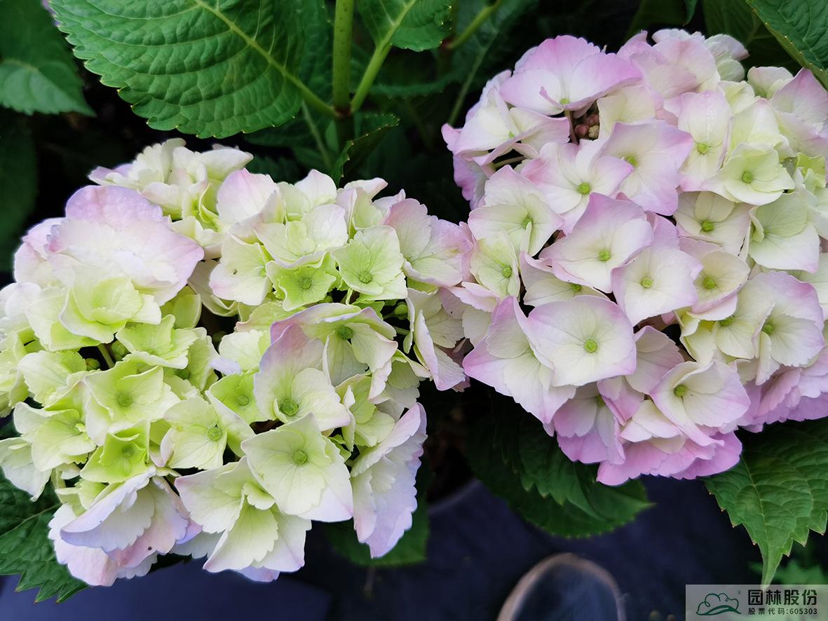 彩运网(中国游)官方网站