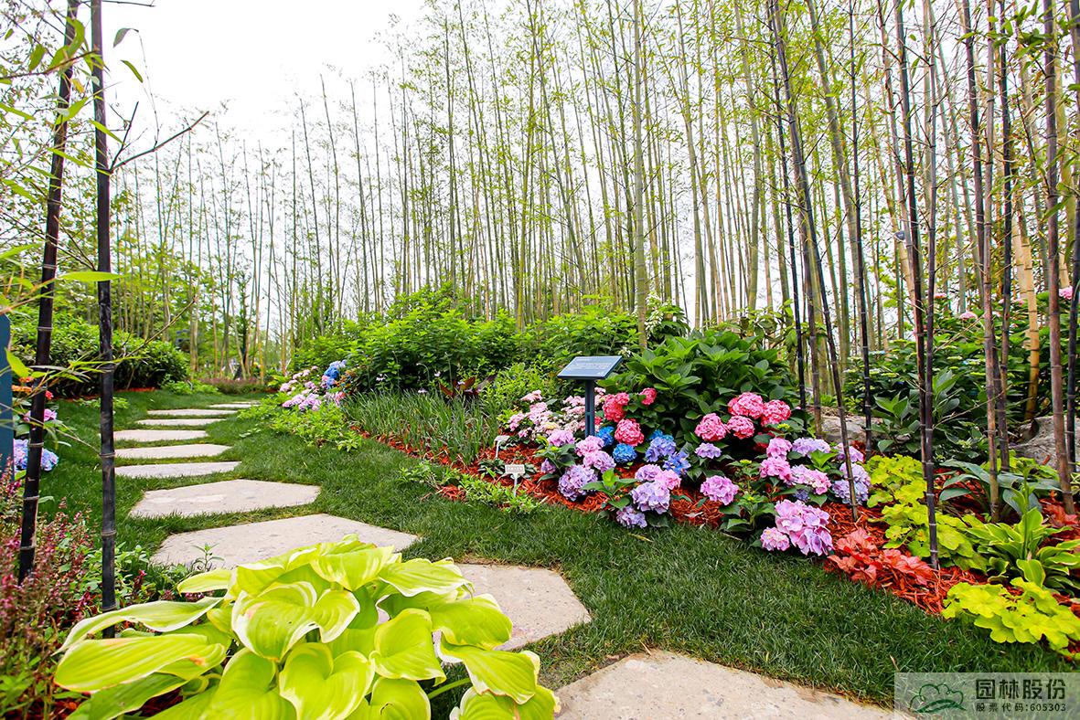 彩运网(中国游)官方网站