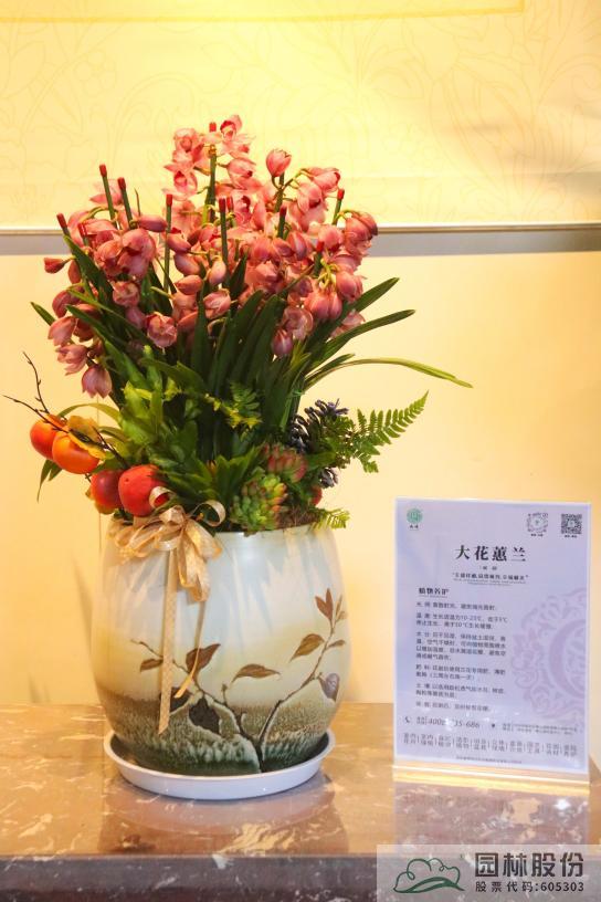 彩运网(中国游)官方网站