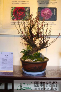 彩运网(中国游)官方网站