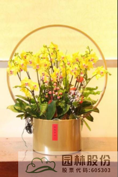 彩运网(中国游)官方网站