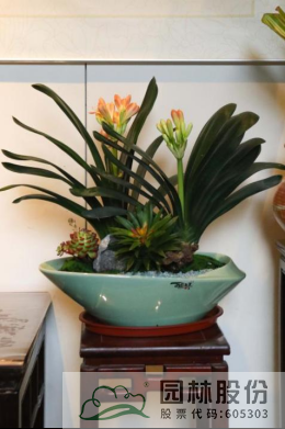 彩运网(中国游)官方网站