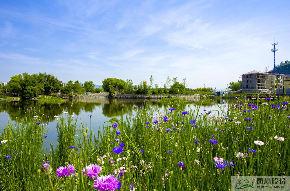 彩运网(中国游)官方网站