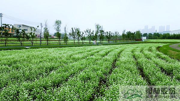 彩运网(中国游)官方网站