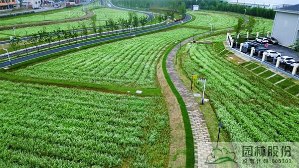 彩运网(中国游)官方网站