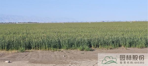 彩运网(中国游)官方网站