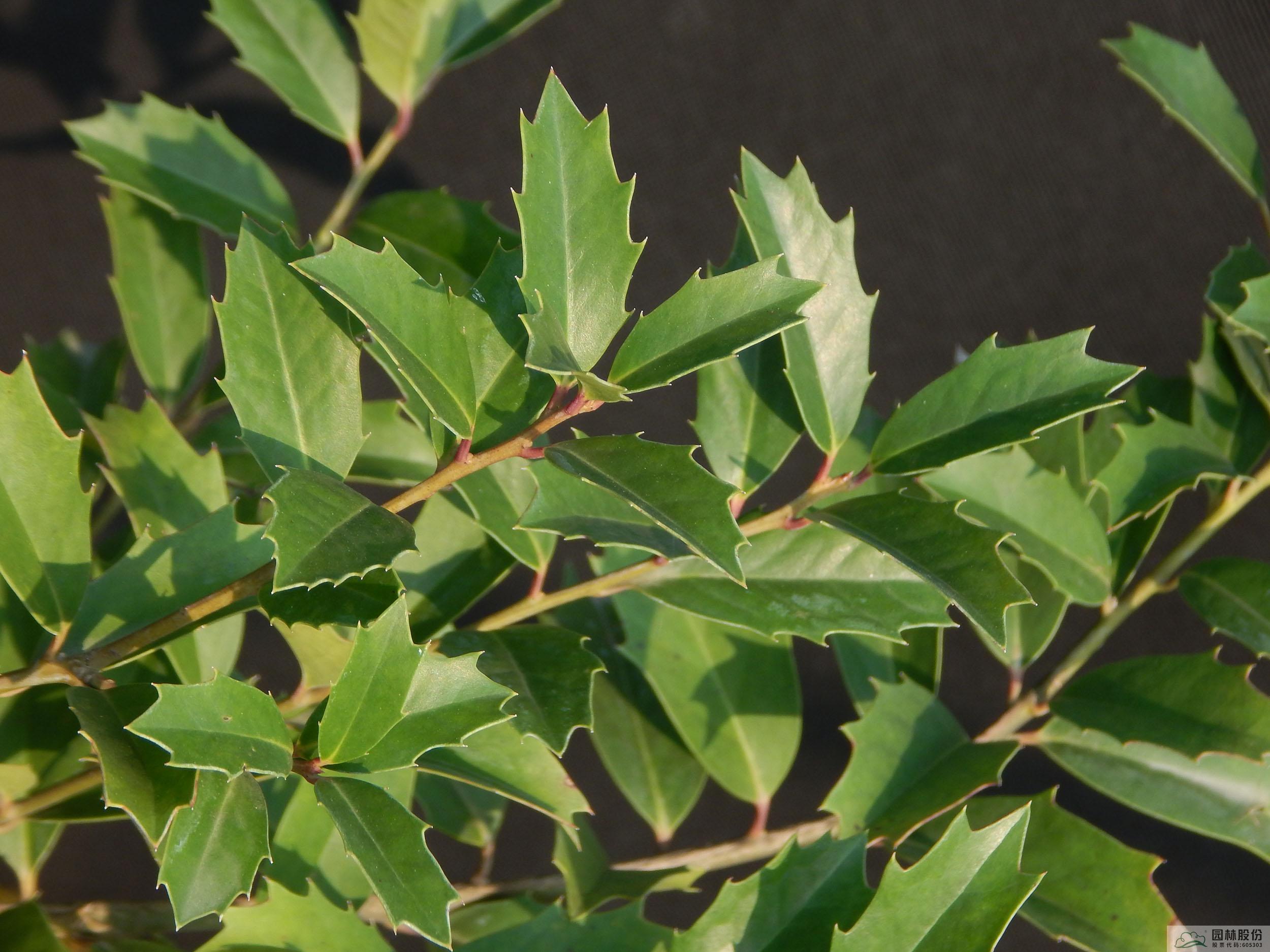 彩运网(中国游)官方网站