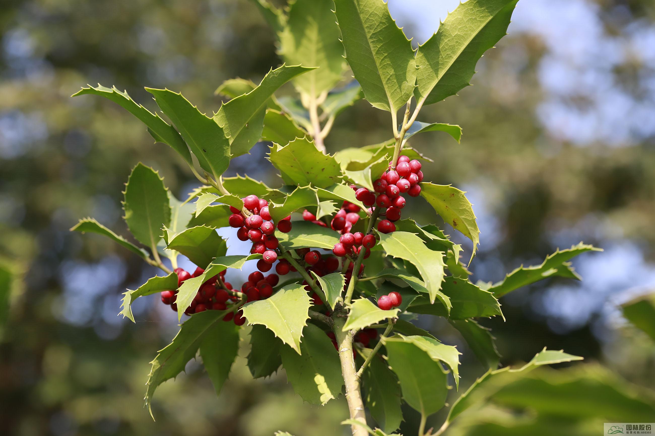 彩运网(中国游)官方网站