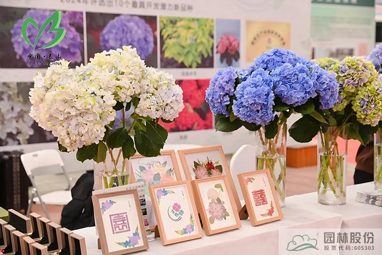 彩运网(中国游)官方网站