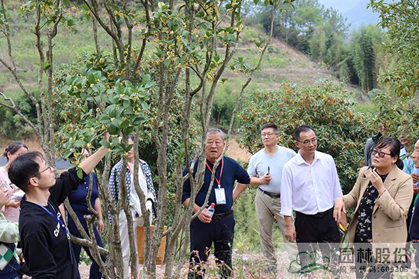 彩运网(中国游)官方网站