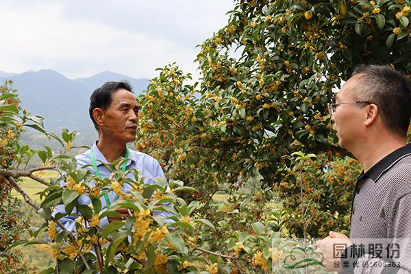 彩运网(中国游)官方网站