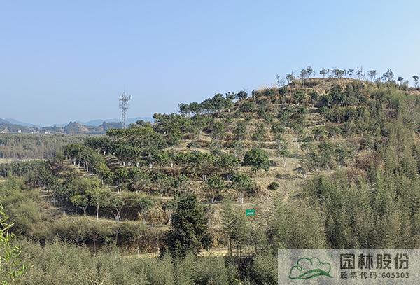 彩运网(中国游)官方网站