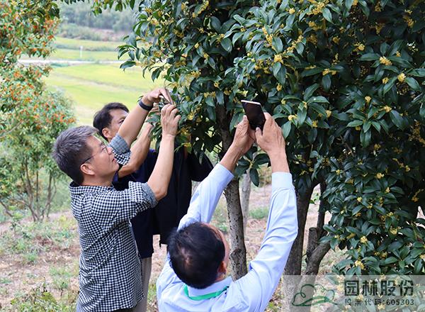 彩运网(中国游)官方网站