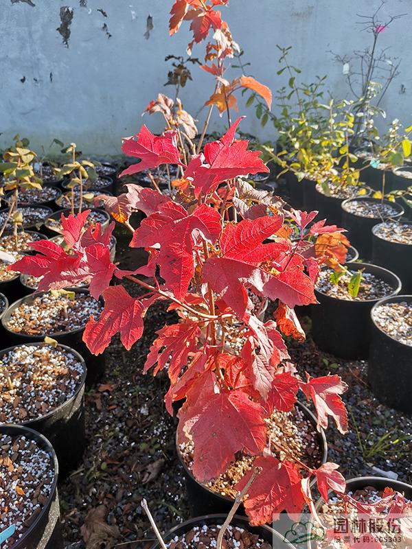 彩运网(中国游)官方网站