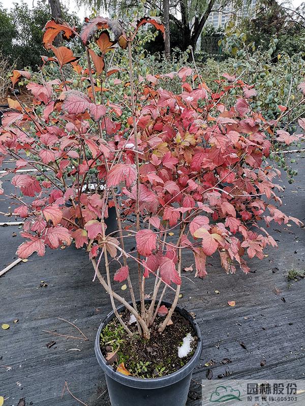 彩运网(中国游)官方网站