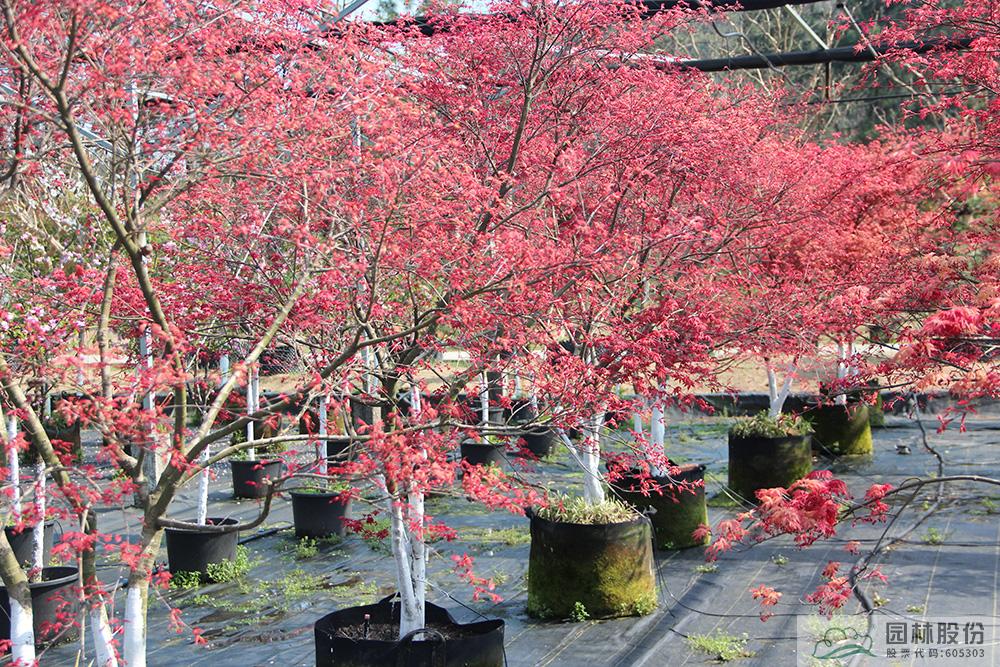 彩运网(中国游)官方网站