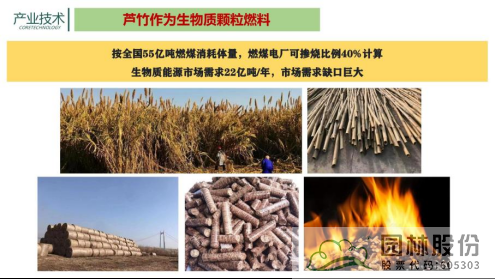 彩运网(中国游)官方网站